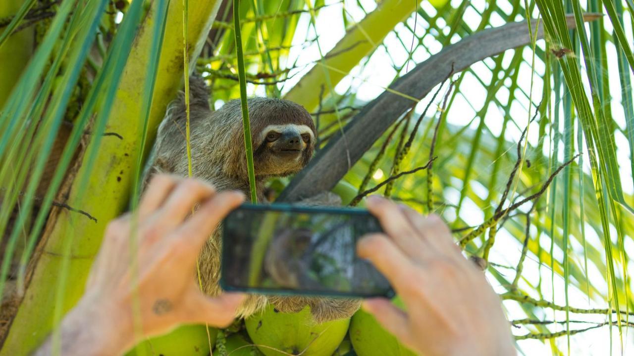 Pacaya Samiria Amazon Lodge Nauta Esterno foto